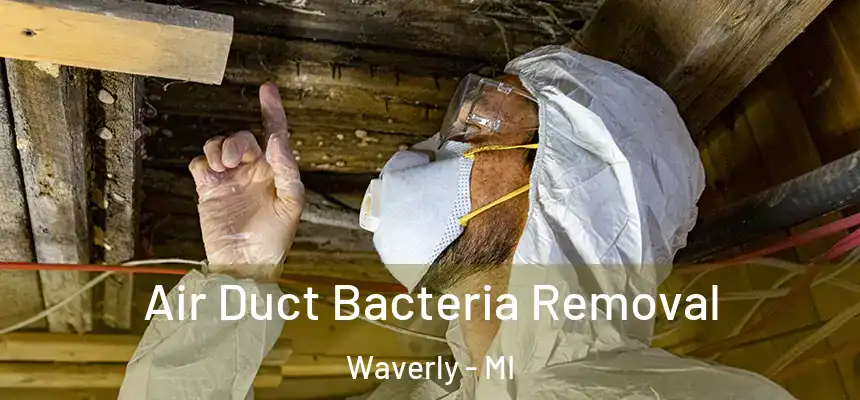 Air Duct Bacteria Removal Waverly - MI