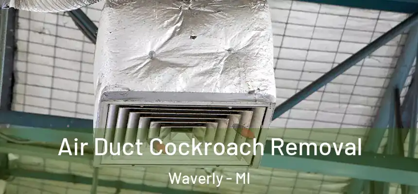  Air Duct Cockroach Removal Waverly - MI