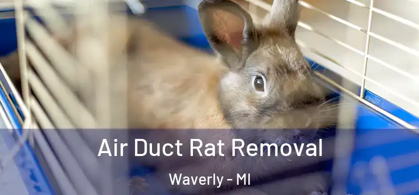 Air Duct Rat Removal Waverly - MI