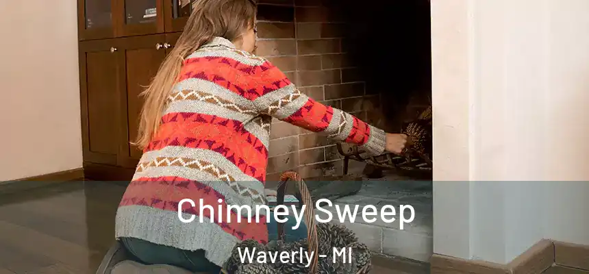  Chimney Sweep Waverly - MI
