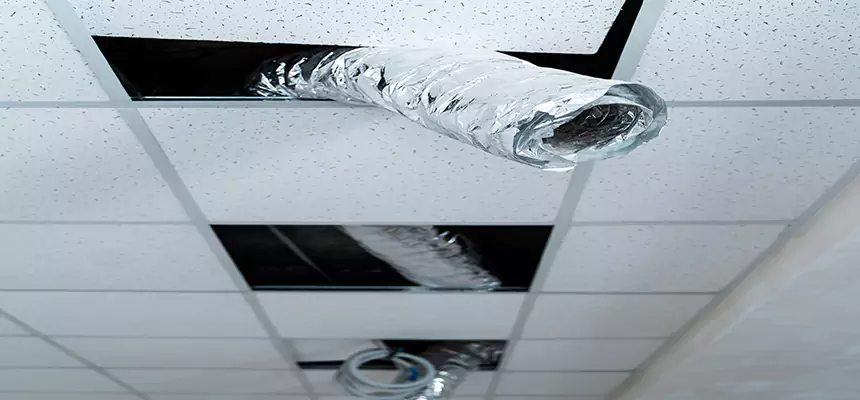 Our Air Duct Pet Hair Removal Services in Waverly, MI