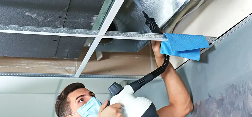 Our Air Duct Rodent Removal Services in Waverly, MI