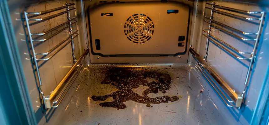 Our Dryer Vent Mold Cleaning Services in Waverly, MI