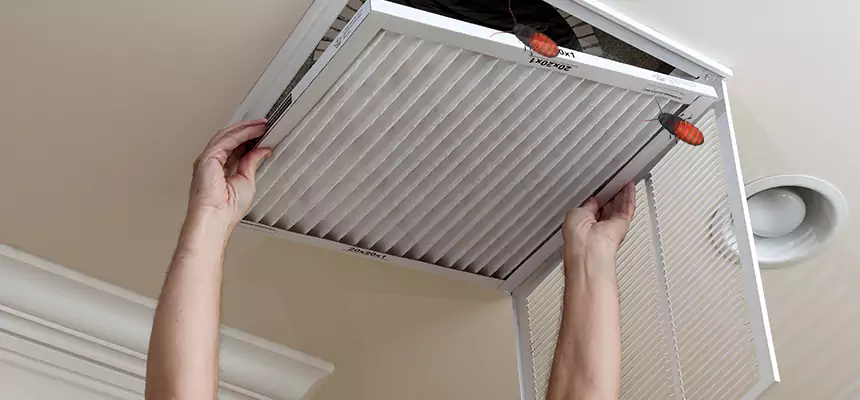 Our Insect Removal from Air Ducts Services in Waverly, MI