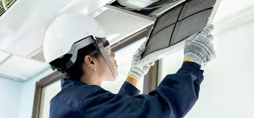 Our Mold & Mildew Removal from Air Ducts Services in Waverly, MI