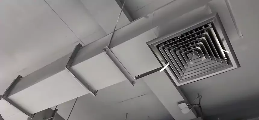 Our Pest Removal From Ducts Services in Waverly, MI