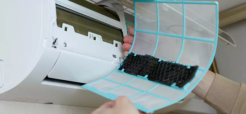 Gentle Ductwork Odor-Control Pet Dander Duct Cleaning in Waverly, MI