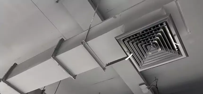 Our Rodent Droppings In Vents Services in Waverly, MI