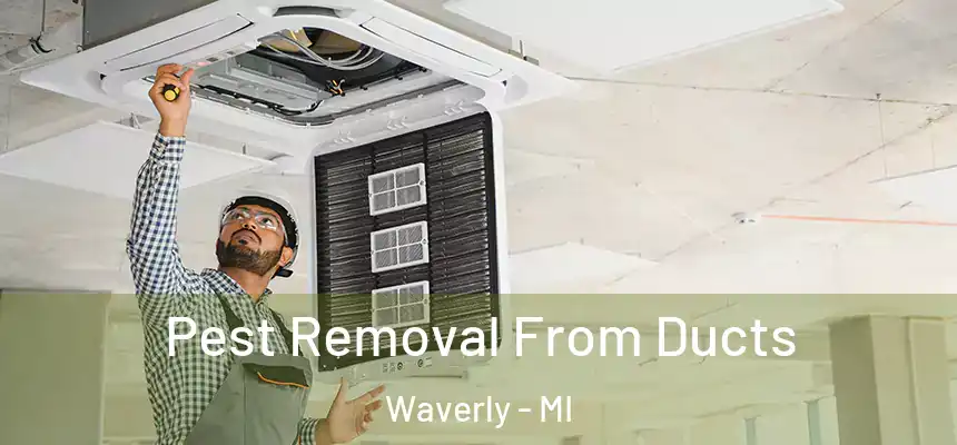 Pest Removal From Ducts Waverly - MI