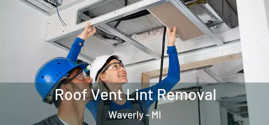 Roof Vent Lint Removal Waverly - MI