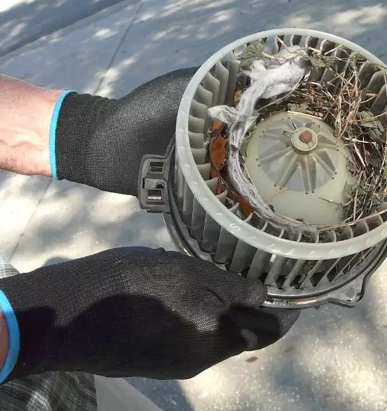 About Air Duct Mice Removal in Waverly, MI