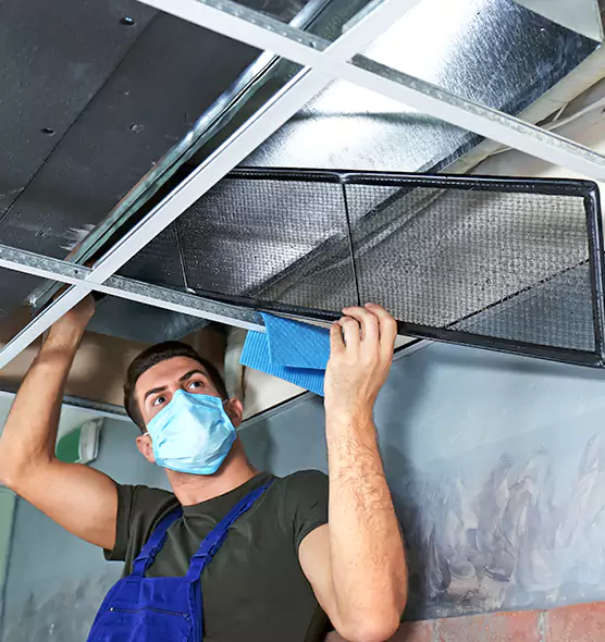 Professional Air Duct Pollen Cleaning in Waverly, MI