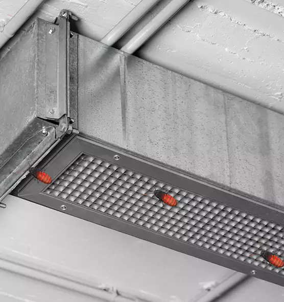 Affordable Insect Removal from Air Ducts in Waverly, MI