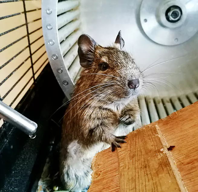 Why Homeowners & Businesses Trust Us Waverly, MI