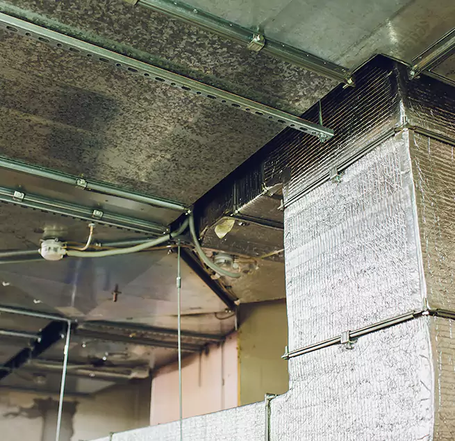 Why Homeowners & Businesses Trust Us in Waverly, MI?